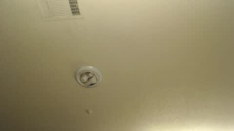 Nikki Mastersgirl1091 online show from 03-19-26, 01:15