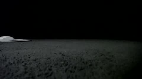 Niquita Sparkles online show from 01-24-25, 09:49