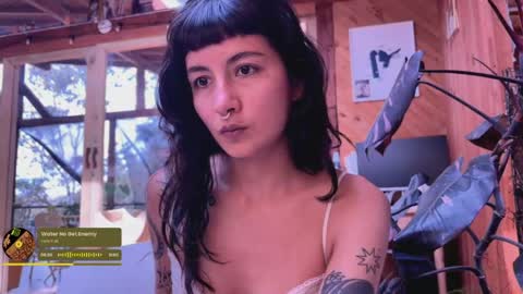 Nina.  online show from 05-11-26, 07:44