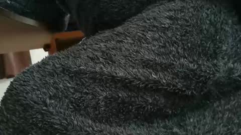 nineinchhard online show from 10-28-25, 10:19