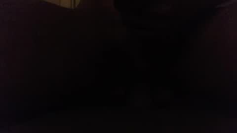 Ninjadance online show from 10-08-25, 08:12