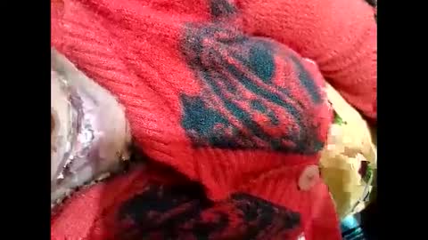 Nisha online show from 01-03-25, 03:44