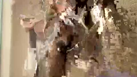 nnm110 online show from 02-09-25, 09:37