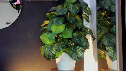 Snapshot of noah25_ chatting on 03-20-26, 03:22 Noah online show from 03-20-26, 03:22