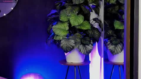 Snapshot of noah25_ chatting on 03-22-26, 03:21 Noah online show from 03-22-26, 03:21