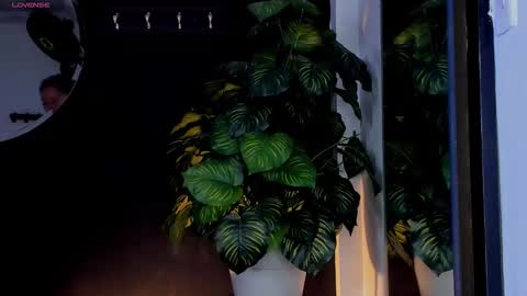 Snapshot of noah25_ chatting on 03-25-26, 03:23 Noah online show from 03-25-26, 03:23