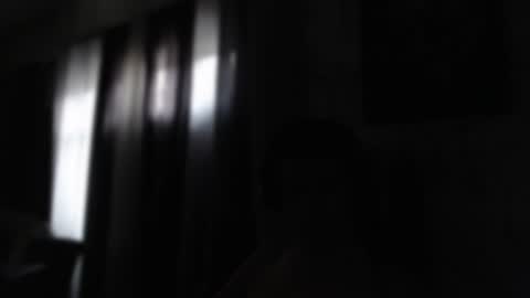 Snapshot of noah_89r chatting on 01-23-25, 12:30 Sebastian online show from 01-23-25, 12:30