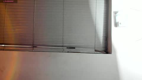 Snapshot of noah_dupont_ chatting on 11-03-25, 11:33 noah_dupont_ online show from 11-03-25, 11:33