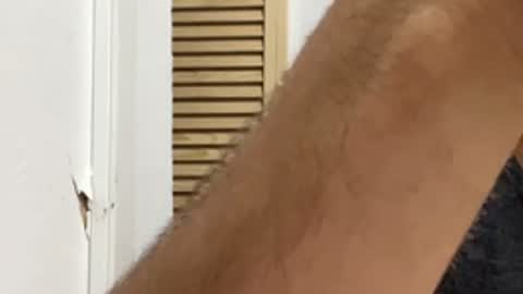 Noah online show from 03-30-26, 06:25