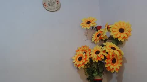 Snapshot of noah_miller7 chatting on 01-06-25, 07:52 Noah Millers online show from 01-06-25, 07:52
