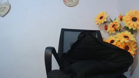 Snapshot of noah_miller7 chatting on 01-16-25, 11:15 Noah Millers online show from 01-16-25, 11:15