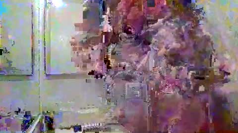 Snapshot of noboundariesinprivate chatting on 03-18-26, 04:37 noboundariesinprivate online show from 03-18-26, 04:37