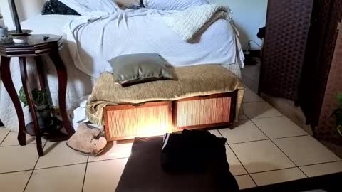 nobudget06 online show from 02-16-25, 04:42