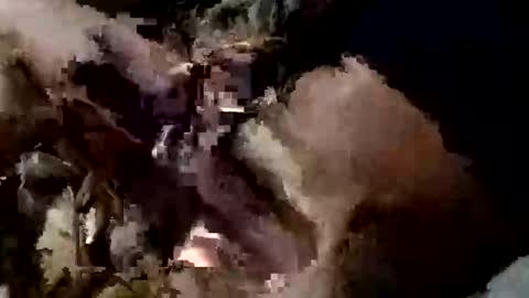 Snapshot of nocturnus1980 chatting on 09-10-25, 05:40 nocturnus1980 online show from 09-10-25, 05:40