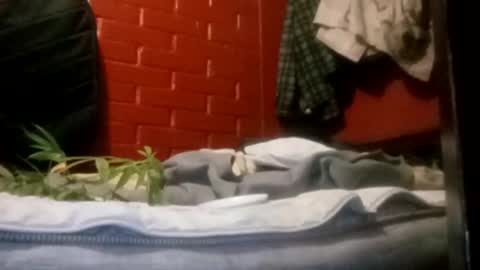 Snapshot of nocturnus1980 chatting on 09-23-25, 05:21 nocturnus1980 online show from 09-23-25, 05:21