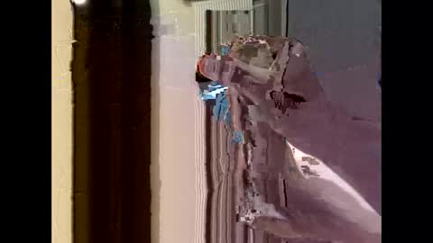 Snapshot of nolplus chatting on 09-22-25, 04:36 nolplus online show from 09-22-25, 04:36