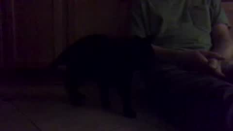 Noodles online show from 01-16-26, 01:04