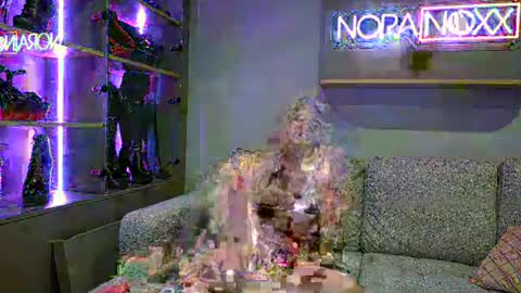 NoraNoxx online show from 06-24-26, 09:58
