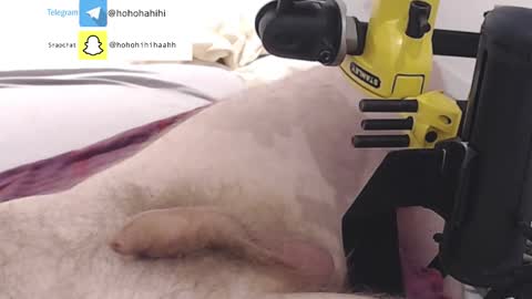 nuche99 online show from 11-01-25, 06:21