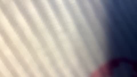 Nicol online show from 09-25-25, 07:34