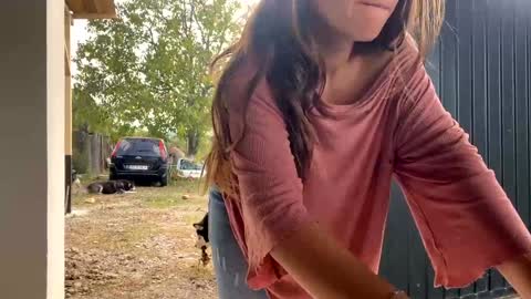 Nicol online show from 09-30-25, 11:48