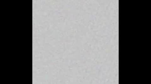 Obsidian stallion online show from 10-09-25, 02:53