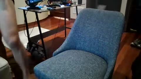 Sky online show from 12-20-24, 02:49