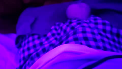 octorok1 online show from 12-31-24, 03:01