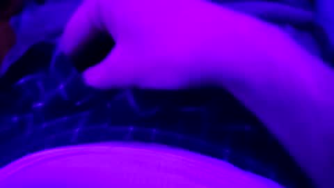 octorok1 online show from 01-01-25, 02:30