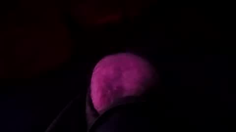 octorok1 online show from 01-19-25, 06:20