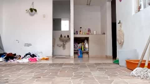 Val online show from 10-22-25, 08:52