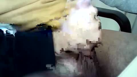 Snapshot of officersex_y chatting on 11-23-25, 01:33 officersex y online show from 11-23-25, 01:33