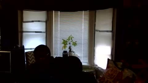 oscar flores online show from 02-16-26, 03:08