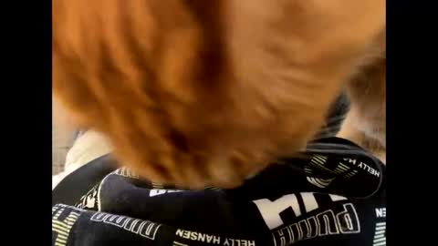 oggs48 online show from 10-21-25, 11:22