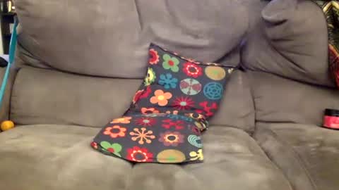 oggs48 online show from 11-15-25, 12:45