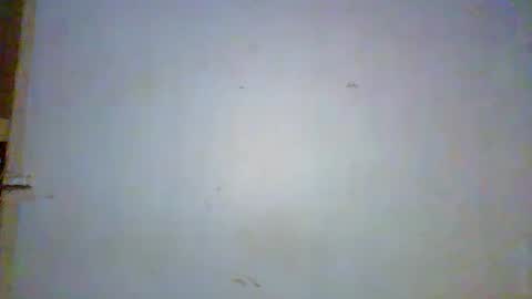 philo bby online show from 02-12-26, 04:35