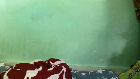 olgamariah203875 online show from 02-11-26, 08:30