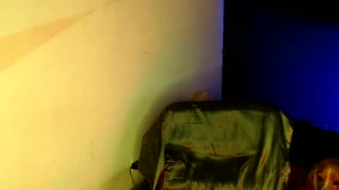 oliver_laid_2023 online show from 01-18-25, 05:48