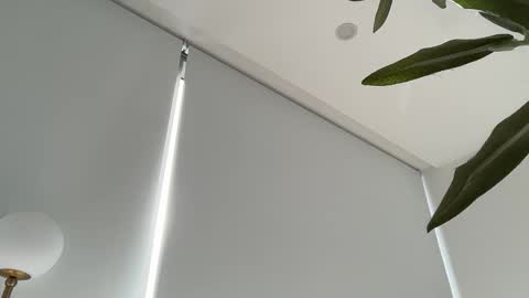 Olivia Brookes online show from 11-27-25, 08:44