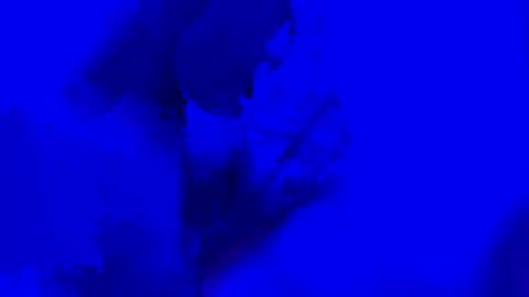 onurkneespls online show from 09-28-25, 12:05