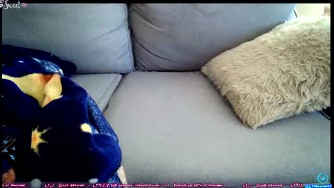  OF - Ooh 69sweet SNAP4LIFE OFFLINE  899 normal  VIP 1369 outside  online show from 06-27-26, 02:34