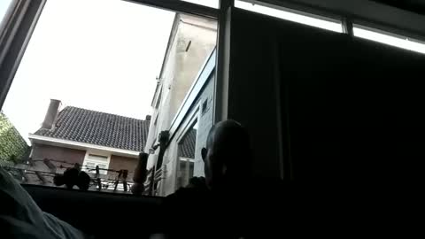 Openminded online show from 12-23-24, 09:38
