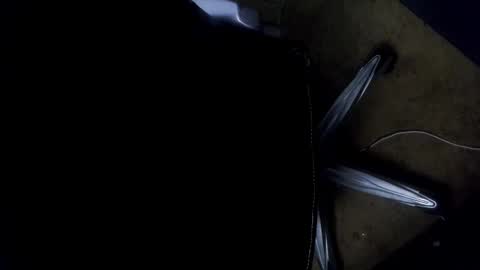 orgasmgiver9090 online show from 11-07-25, 07:36