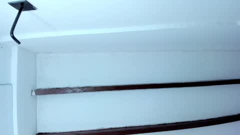 Miss Guzman  online show from 01-23-25, 11:15