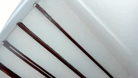 Miss Guzman  online show from 01-29-25, 05:45