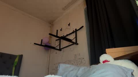 origamicat online show from 01-15-26, 09:07