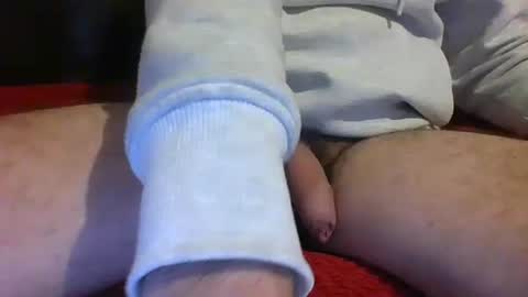 ornytologist online show from 01-17-25, 09:49