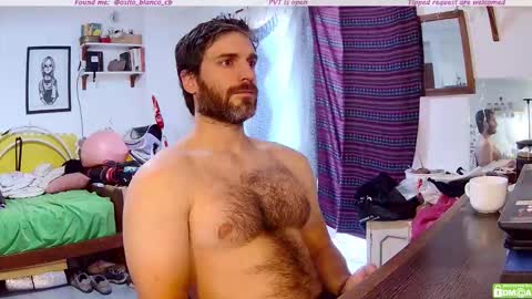 Osito Blanco online show from 12-04-25, 11:19