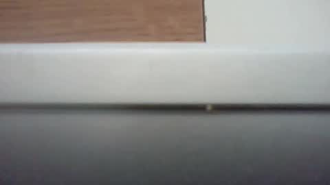 Snapshot of p9plot chatting on 03-29-26, 03:01 p9plot online show from 03-29-26, 03:01