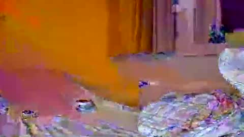 Snapshot of pachoxx9 chatting on 02-01-25, 10:44 Pachoxx9 online show from 02-01-25, 10:44